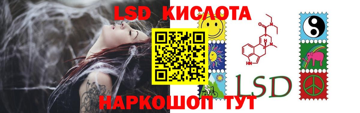 Лсд 25 Костомукша