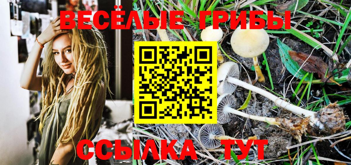 Псилоцибиновые грибы Cubensis Костомукша