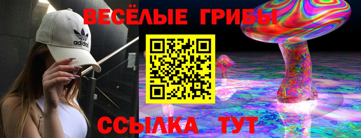 Костомукша  Псилоцибиновые грибы GOLDEN TEACHER  Вход с VPN 